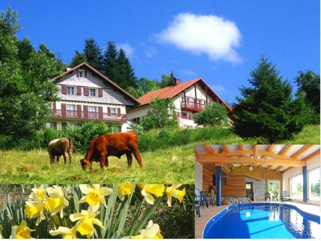Photo Agriturismo Grardmer Vacances chalet 5* + piscine grard... 