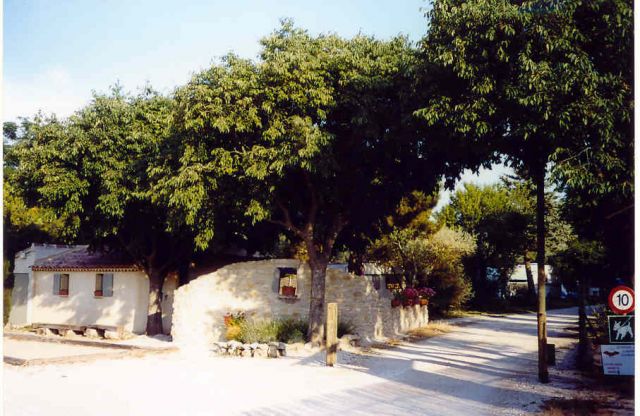 Camping les oliviers