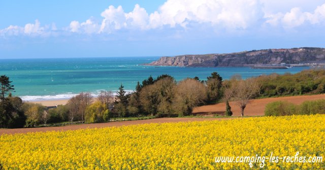 Camping les roches