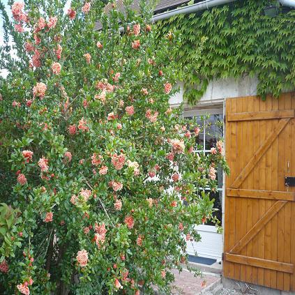 Photo Bed and breakfast ChÂtillon sur indre Chambre d'hôtes et gîte anne-ma...