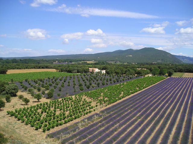 Gite de la pellegrine 